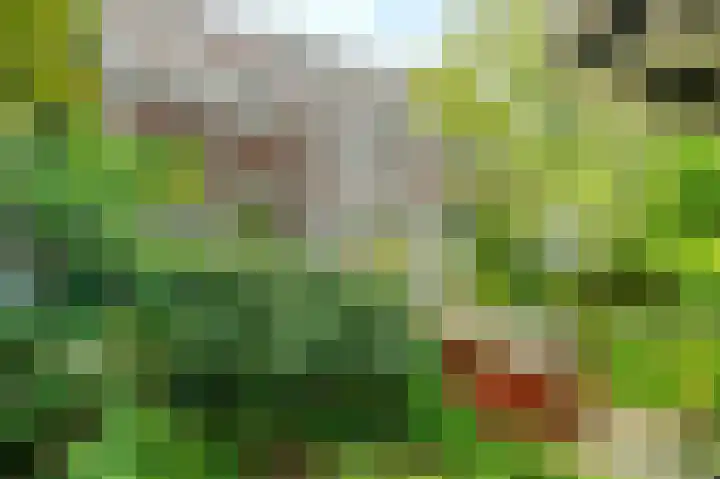 Commelinstraat 15 B Amsterdam thumbnail 31