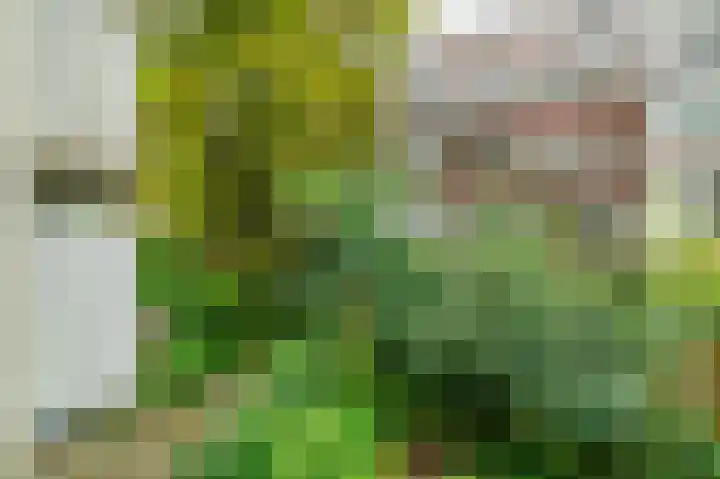 Commelinstraat 15 B Amsterdam thumbnail 32