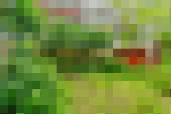 Commelinstraat 15 B Amsterdam thumbnail 33