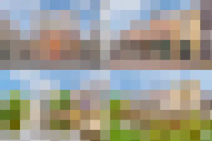 Commelinstraat 15 B Amsterdam thumbnail 38
