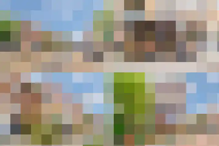 Commelinstraat 15 B Amsterdam thumbnail 39