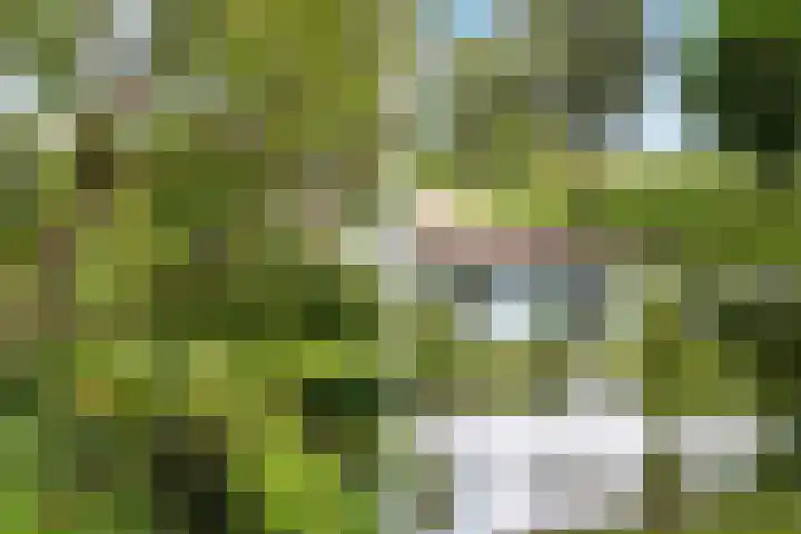 Commelinstraat 15 B Amsterdam thumbnail 40