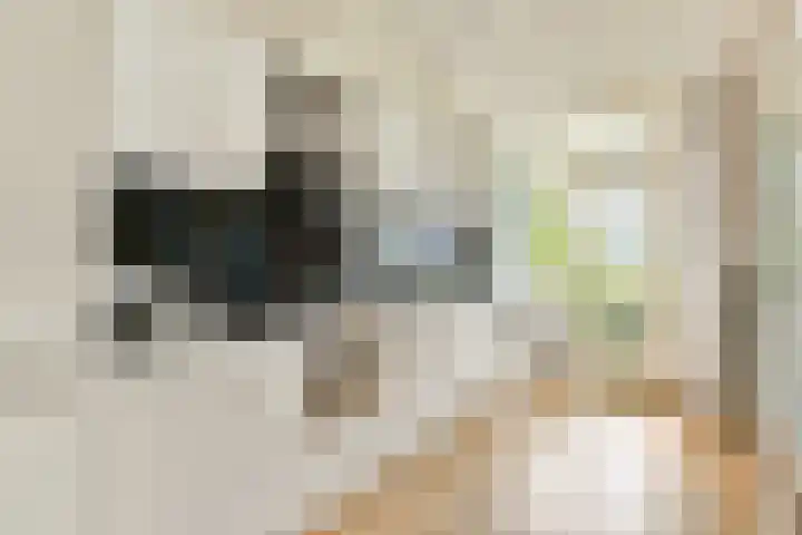 Commelinstraat 199 Amsterdam thumbnail 10