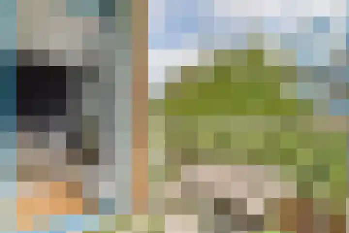 Commelinstraat 199 Amsterdam thumbnail 12