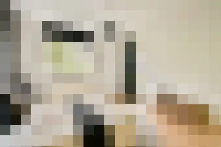 Commelinstraat 199 Amsterdam thumbnail 13