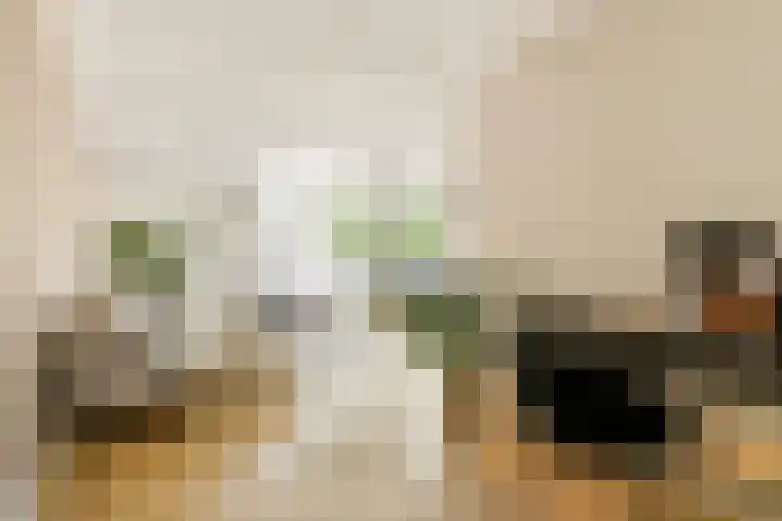 Commelinstraat 199 Amsterdam thumbnail 7