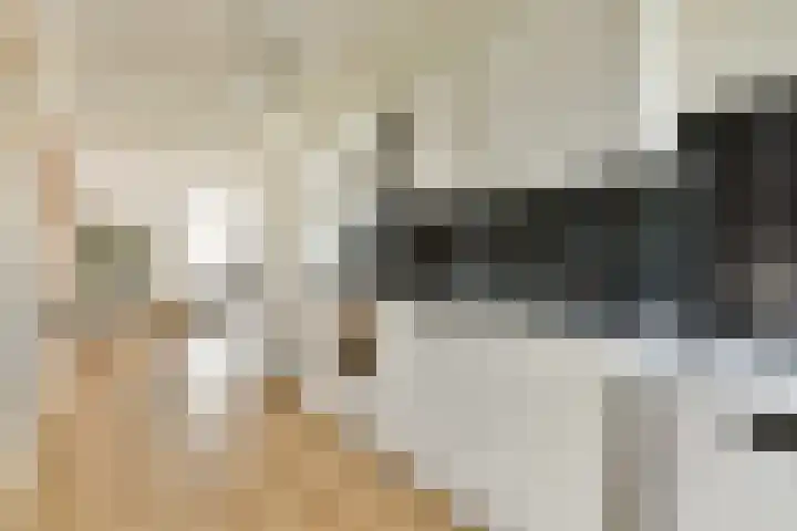 Commelinstraat 199 Amsterdam thumbnail 9