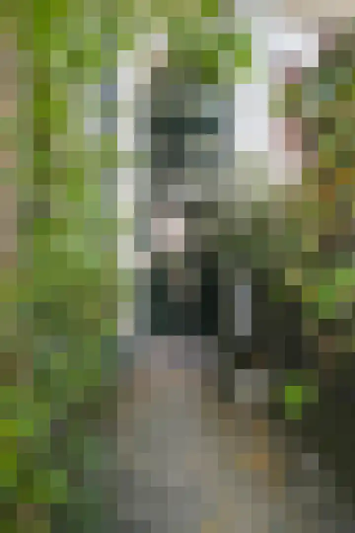 Commelinstraat 2 E Amsterdam thumbnail 13