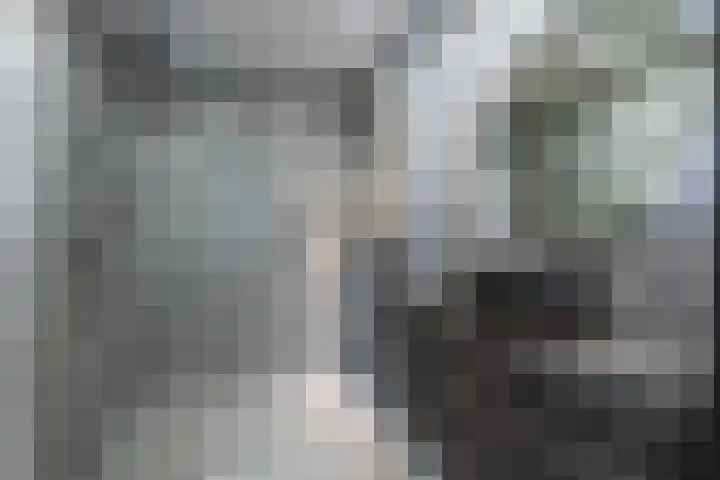 Commelinstraat 225 Amsterdam thumbnail 12