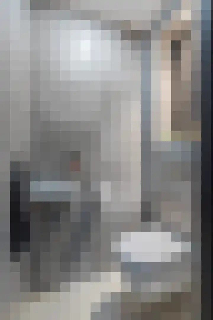 Commelinstraat 225 Amsterdam thumbnail 14