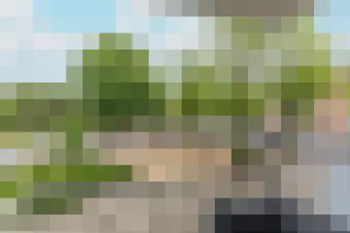 Commelinstraat 225 Amsterdam thumbnail 17