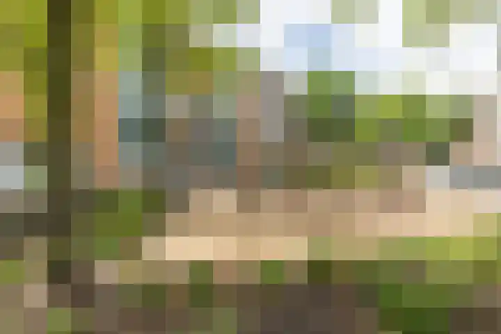 Commelinstraat 225 Amsterdam thumbnail 18