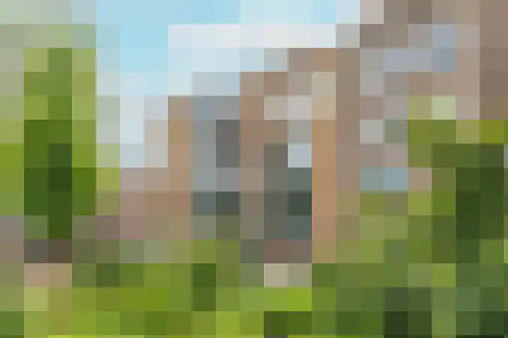 Commelinstraat 225 Amsterdam thumbnail 5
