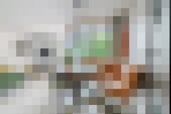 Commelinstraat 225 Amsterdam thumbnail 6