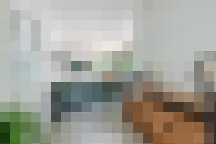 Commelinstraat 225 Amsterdam thumbnail 8