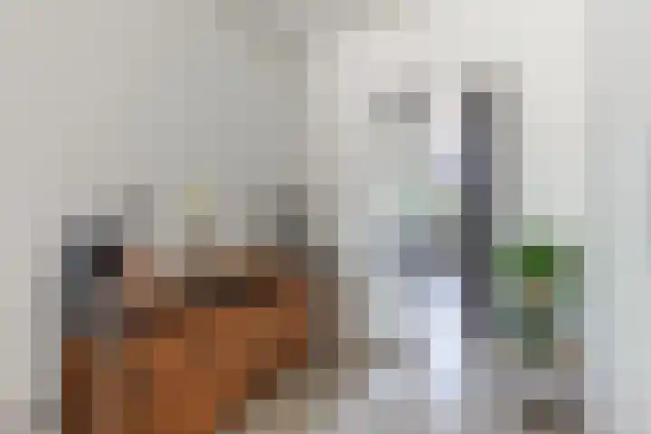 Commelinstraat 225 Amsterdam thumbnail 9