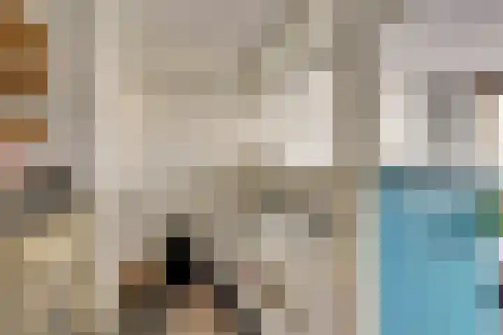 Commelinstraat 298 Amsterdam thumbnail 15