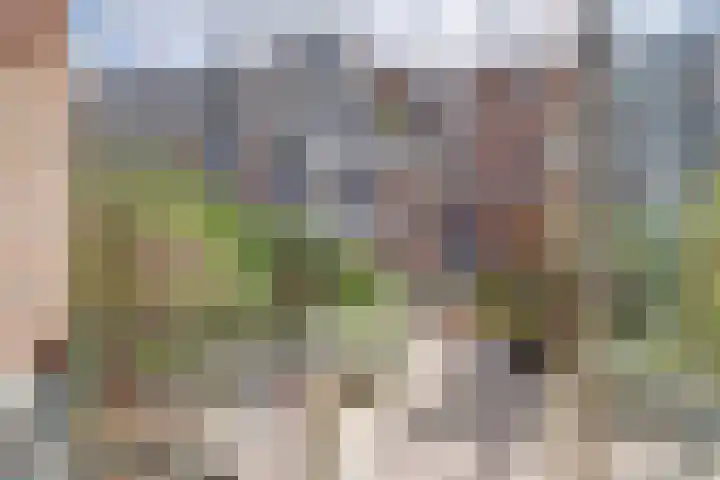 Commelinstraat 298 Amsterdam thumbnail 19