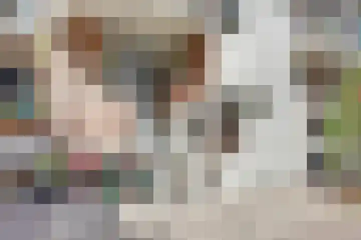 Commelinstraat 298 Amsterdam thumbnail 5