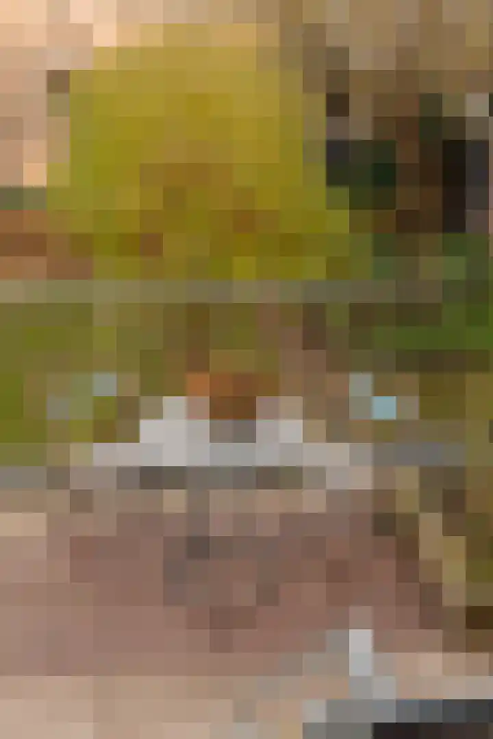 Commelinstraat 316 Amsterdam thumbnail 11
