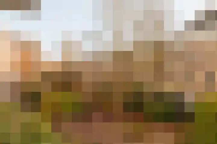 Commelinstraat 316 Amsterdam thumbnail 15