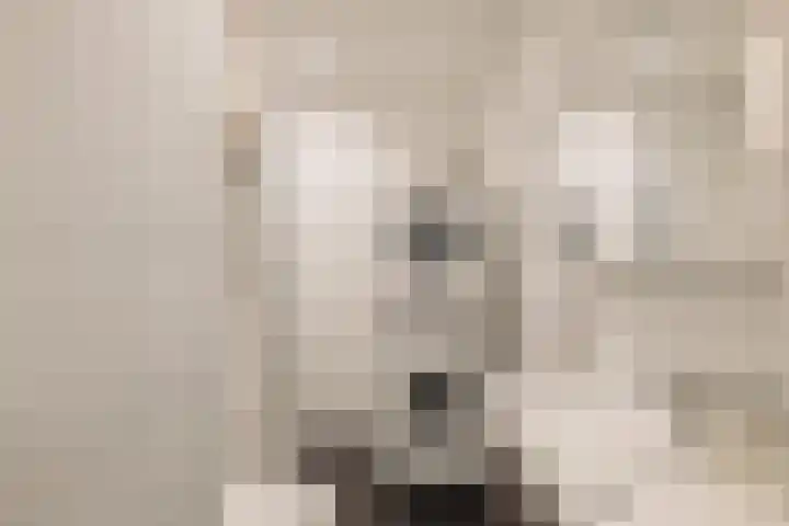 Commelinstraat 316 Amsterdam thumbnail 16