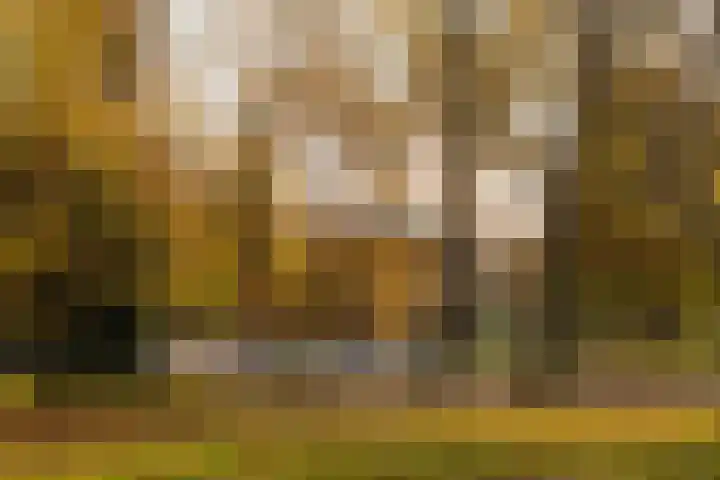 Commelinstraat 316 Amsterdam thumbnail 23