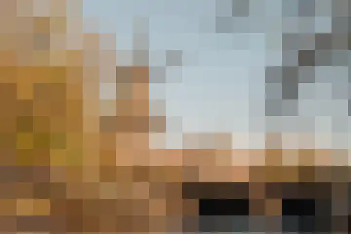 Commelinstraat 316 Amsterdam thumbnail 24
