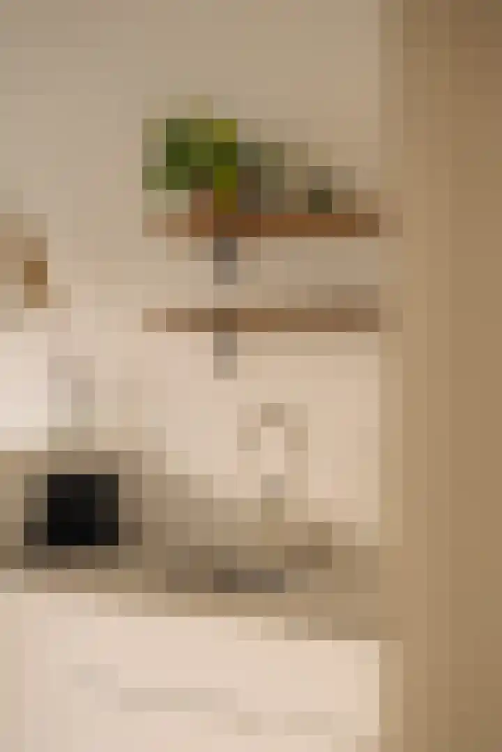 Commelinstraat 316 Amsterdam thumbnail 4