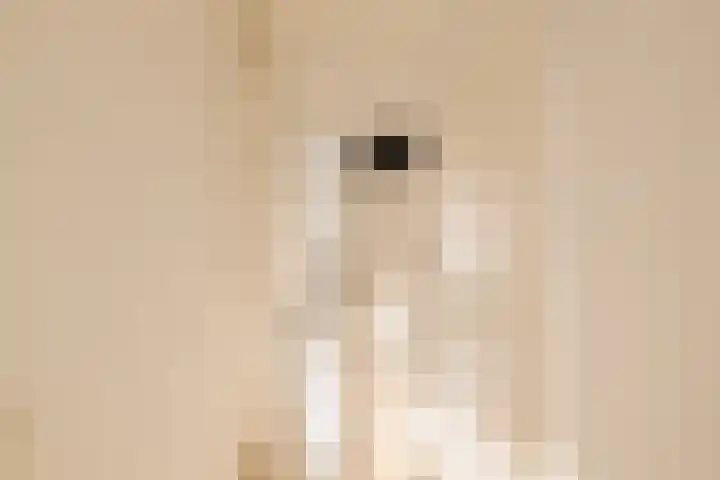 Commelinstraat 316 Amsterdam thumbnail 8