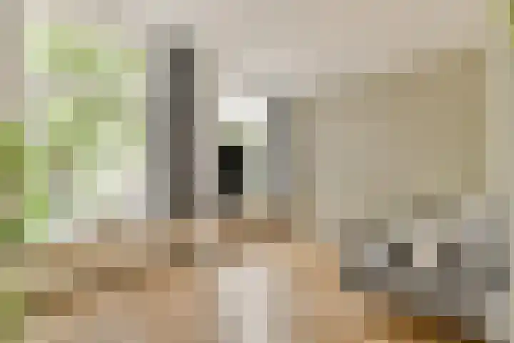 Commelinstraat 41 3 Amsterdam thumbnail 10
