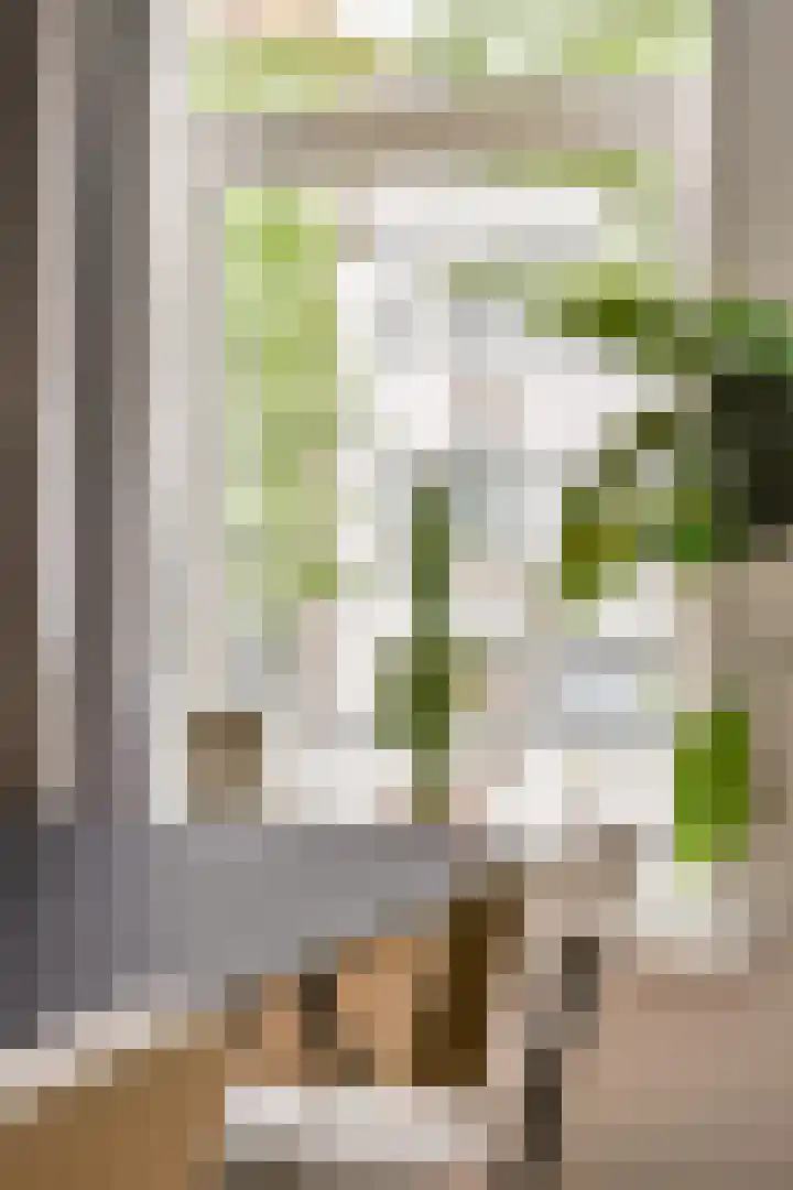 Commelinstraat 41 3 Amsterdam thumbnail 18
