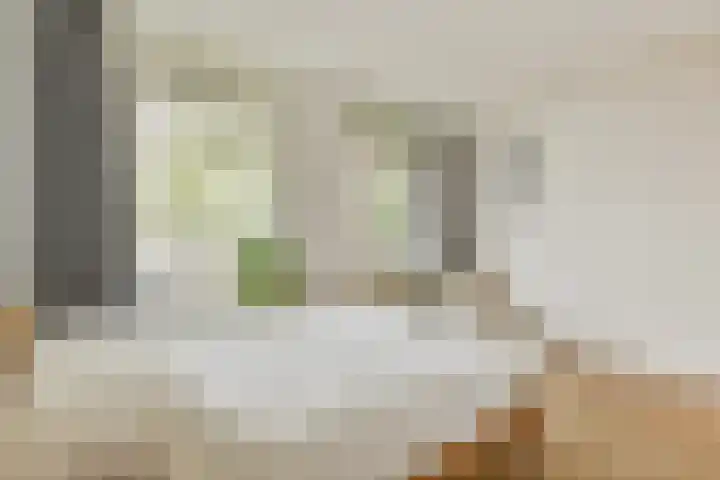 Commelinstraat 41 3 Amsterdam thumbnail 23