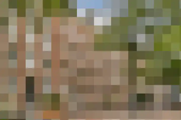 Commelinstraat 41 3 Amsterdam thumbnail 35