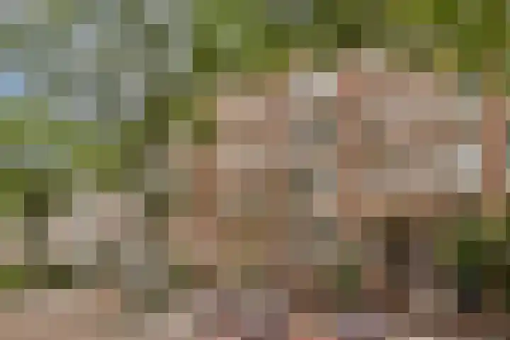 Commelinstraat 41 3 Amsterdam thumbnail 36