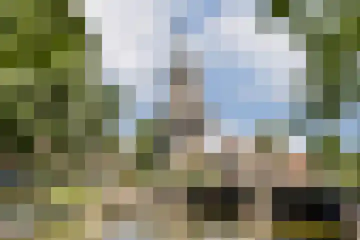 Commelinstraat 41 3 Amsterdam thumbnail 37