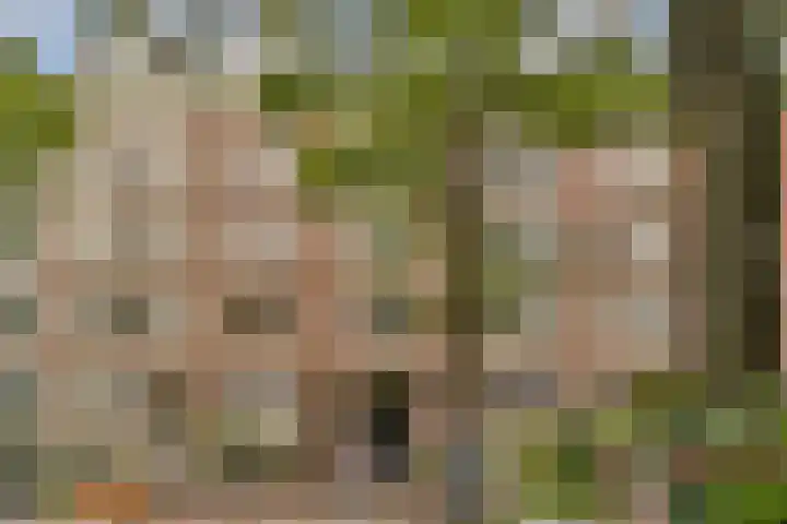 Commelinstraat 41 3 Amsterdam thumbnail 47