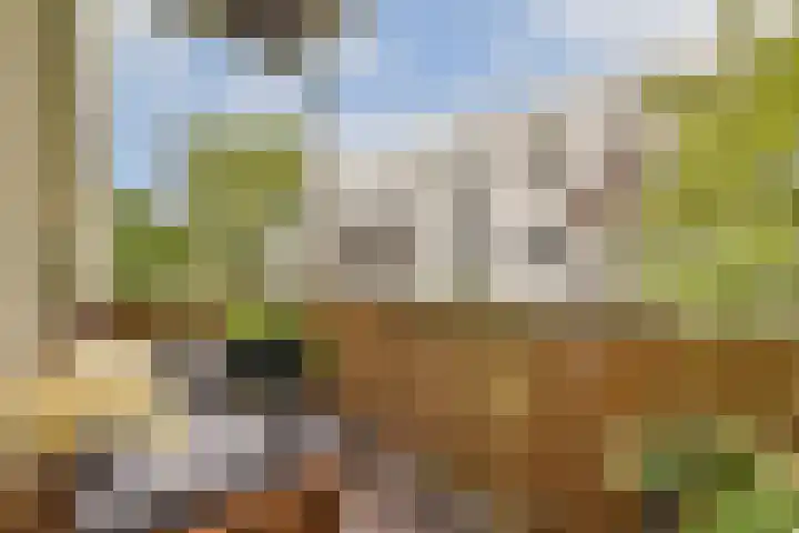 Commelinstraat 41 3 Amsterdam thumbnail 5