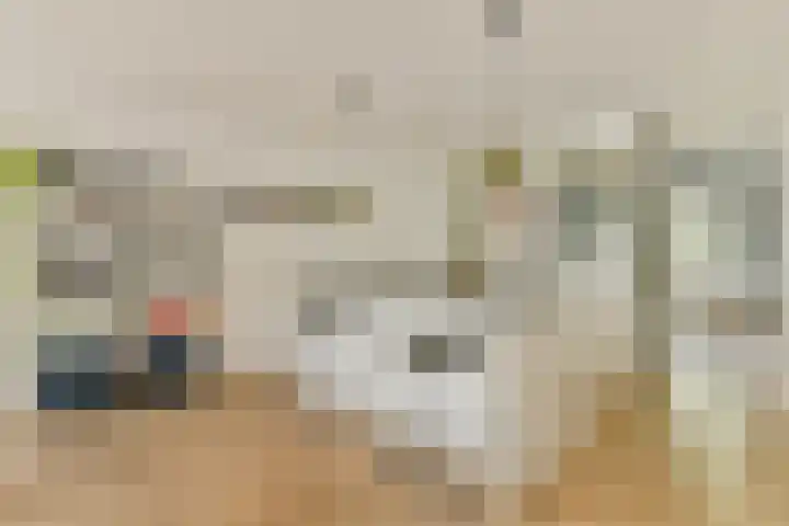 Commelinstraat 41 3 Amsterdam thumbnail 6