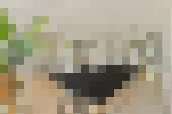 Commelinstraat 41 3 Amsterdam thumbnail 7