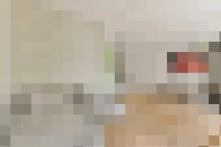 Commelinstraat 41 3 Amsterdam thumbnail 9