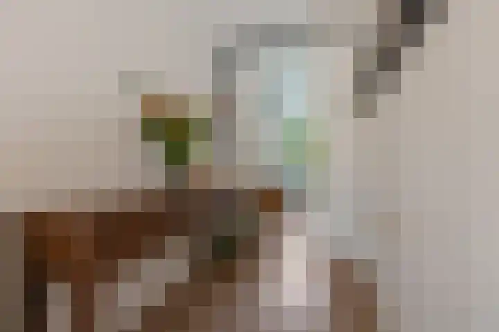 Commelinstraat 444 Amsterdam thumbnail 12