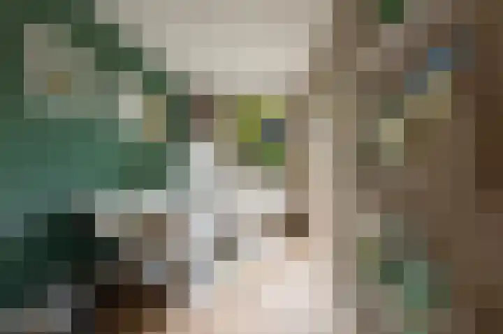 Commelinstraat 444 Amsterdam thumbnail 15