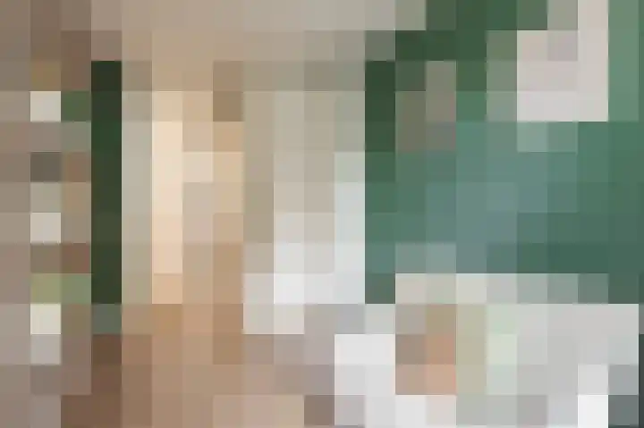 Commelinstraat 444 Amsterdam thumbnail 16