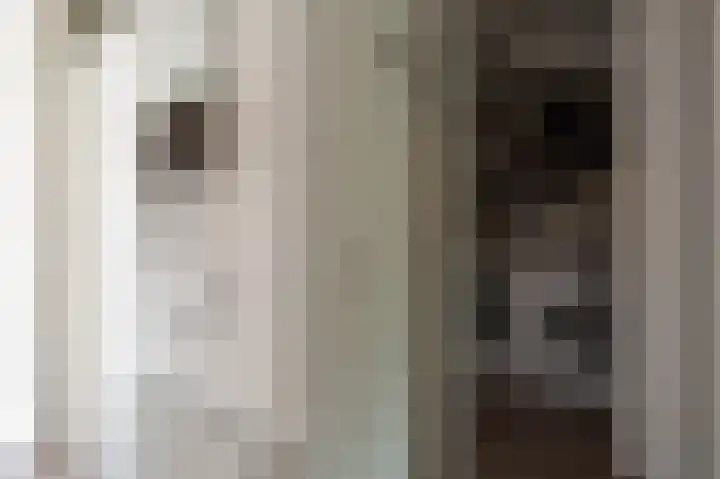 Commelinstraat 444 Amsterdam thumbnail 19