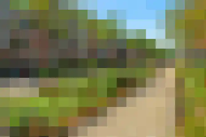 Commelinstraat 444 Amsterdam thumbnail 21