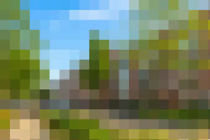 Commelinstraat 444 Amsterdam thumbnail 22