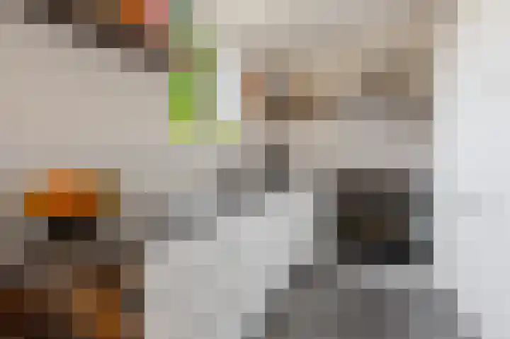 Commelinstraat 444 Amsterdam thumbnail 7