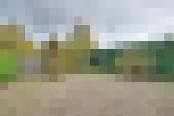 Commendereijstraat 33 Groessen thumbnail 17