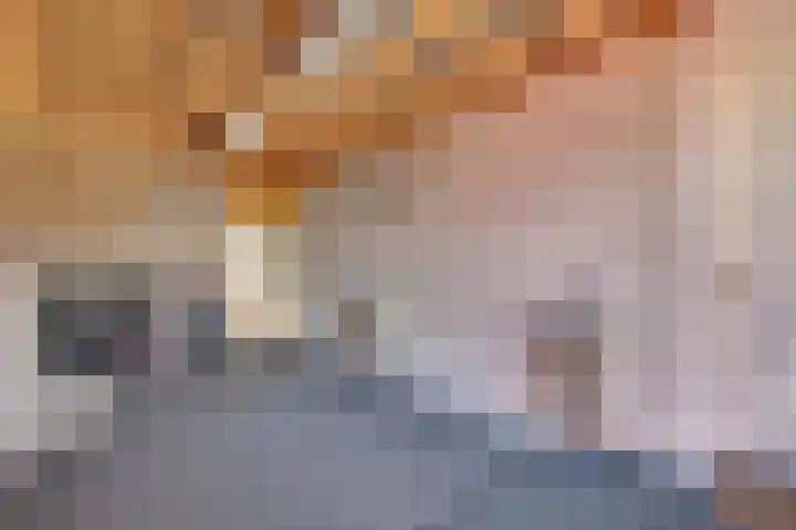 Commendereijstraat 33 Groessen thumbnail 26